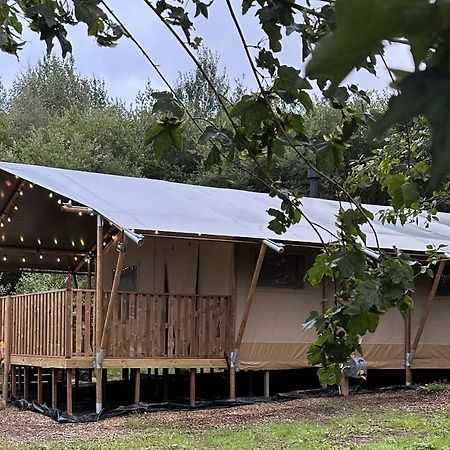 Cherry Tree Safari Lodge Talaton Luaran gambar